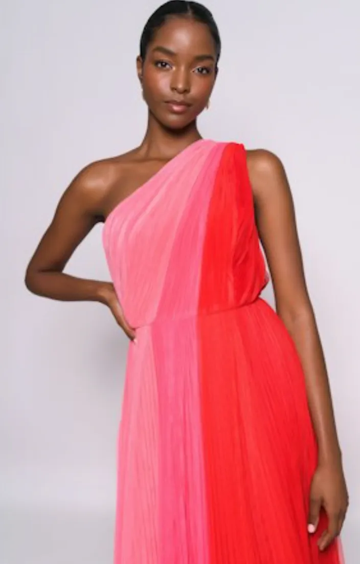 Hutch Tarina Colorblock Gown Pink